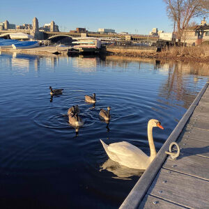 Fundraising Page: Emily Ottinger